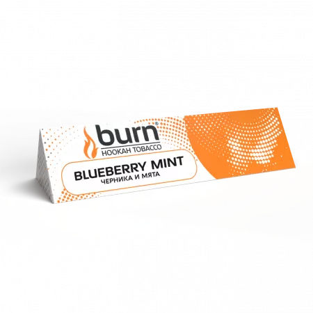 Табак Burn 25г Blueberry Mint М