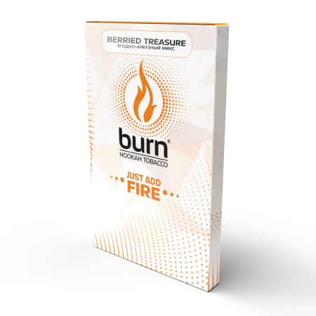 Купить Табак Burn 100г Berried Treasure М