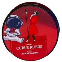 Табак Satyr 25г Cubus Rubus M