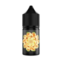 Жидкость Soak L10мл - Nectarine M